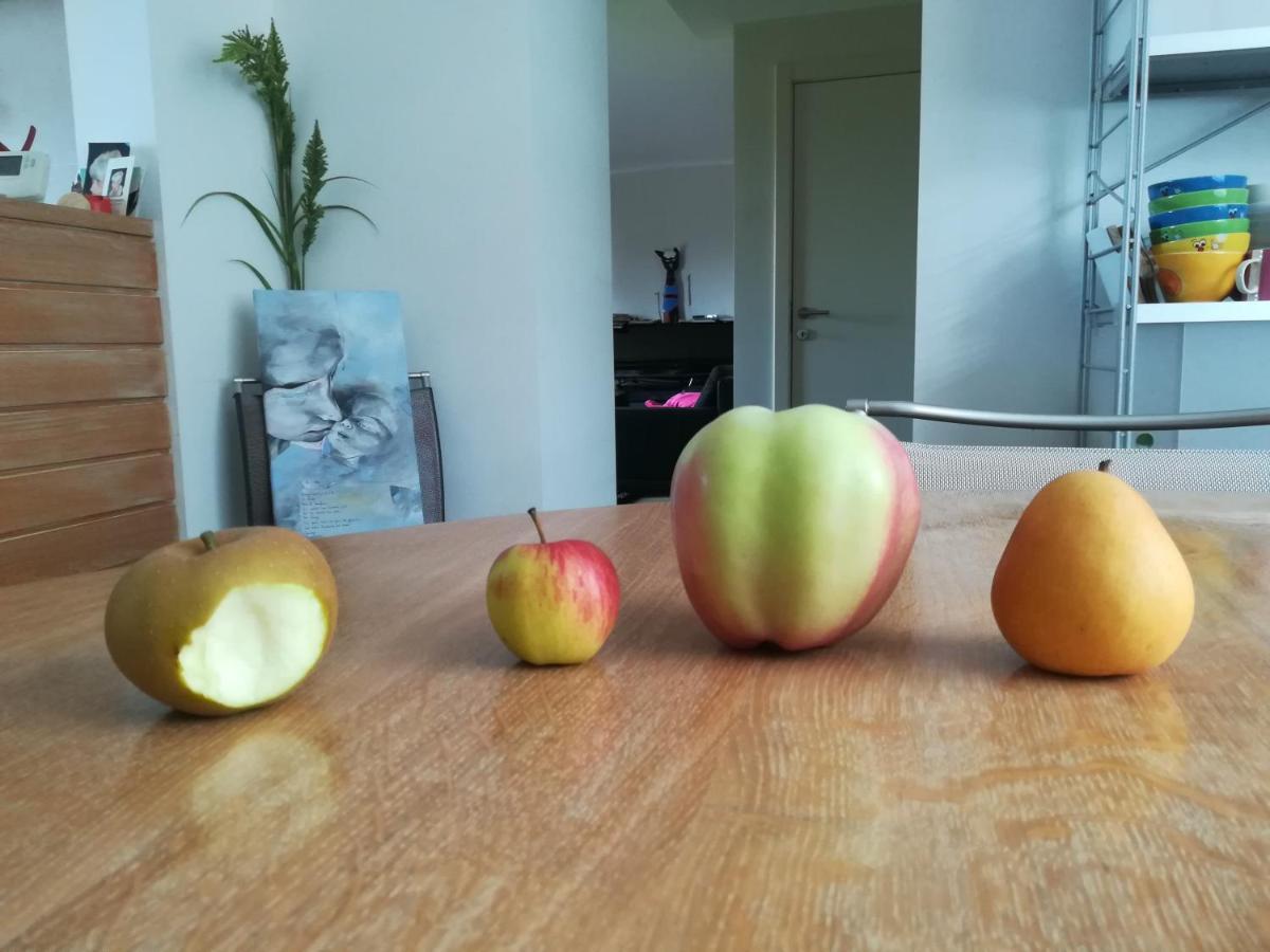 Carpe Diem Mont  Eksteriør billede