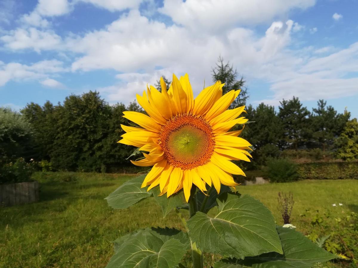 Carpe Diem Mont  Eksteriør billede